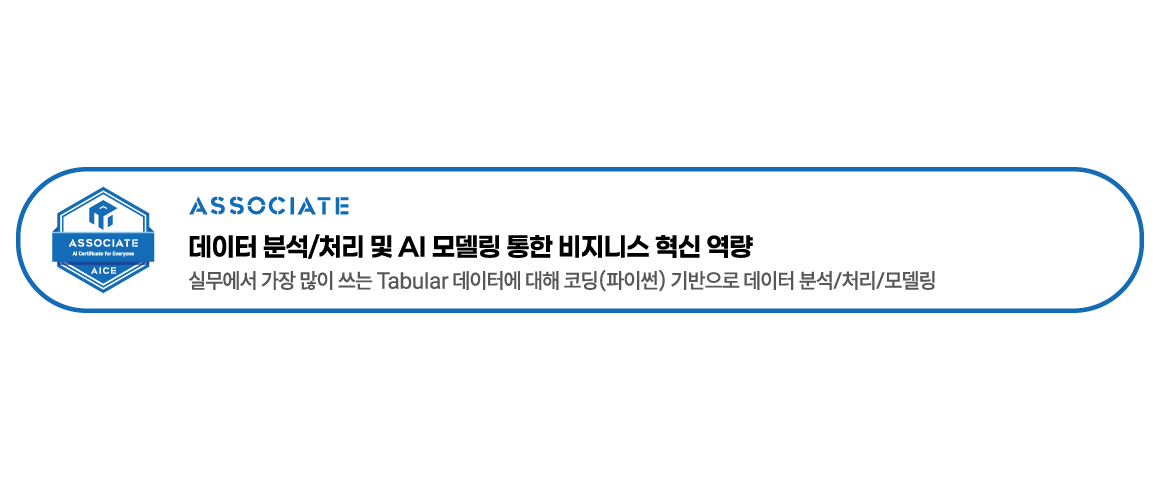 AICE 과정 소개 - ASSOCIATE